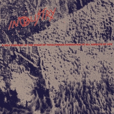 INDUSTRY - A Self Portrait At The Stage Of Totalitarian Domination Of All Aspects Of Life - LP