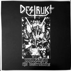DESTRUKT ‎– Unleash The Destruktors - LP