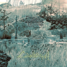 RIGOROUS INSTITUTION - Cainsmarsh - LP