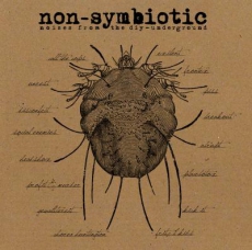 V/A: Non-Symbiotic Noises From The DIY-Underground - LP, Random Coloured